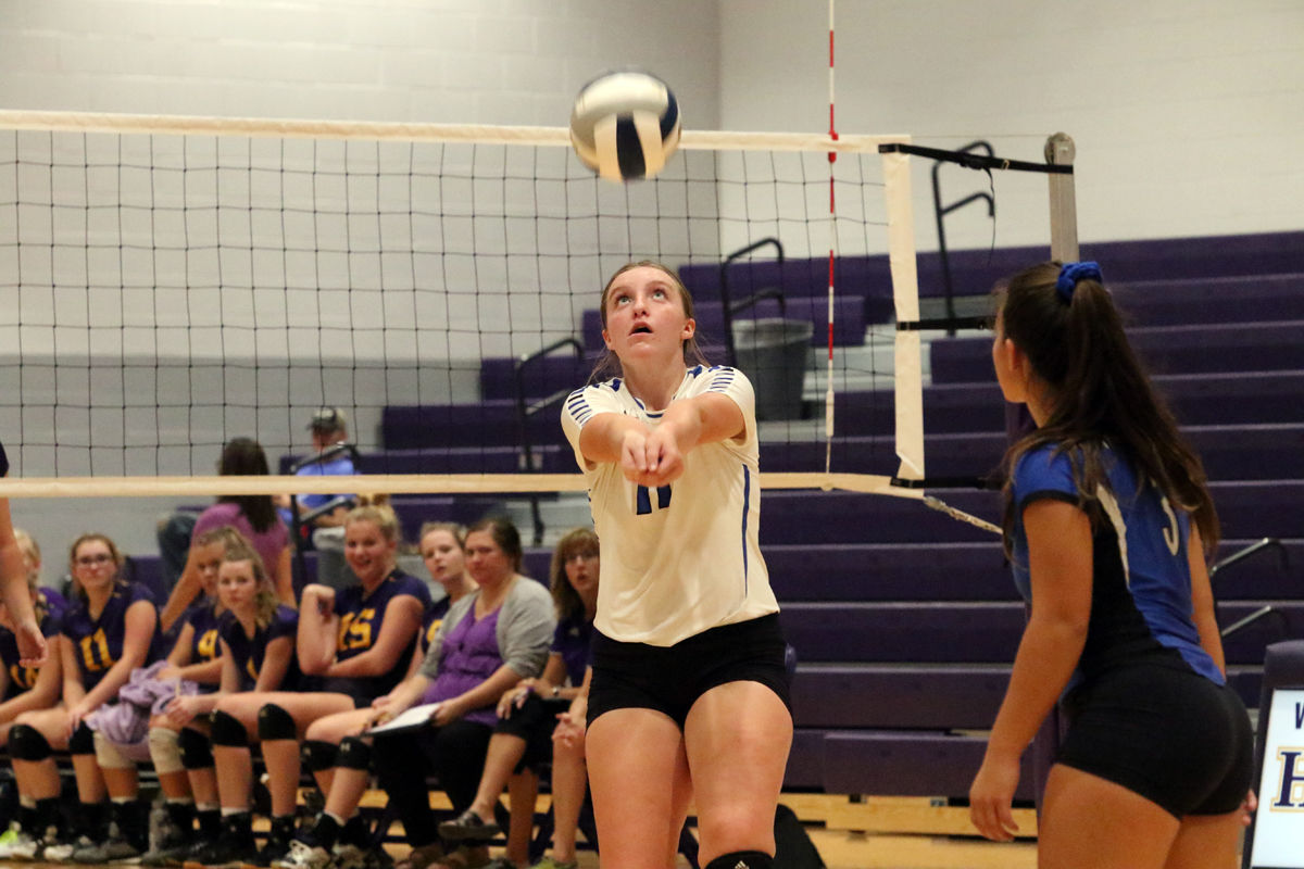 Hampton VB Tri (33).JPG